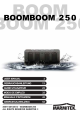 BoomBoom 250